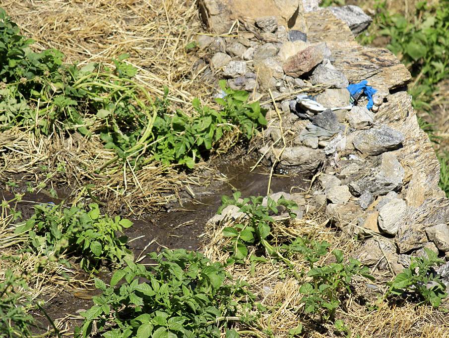 27.	Ramanand Negi showed this water source in Urni village which emerged suddenly in 2005. This has come out in a location where there is a landslide getting active.