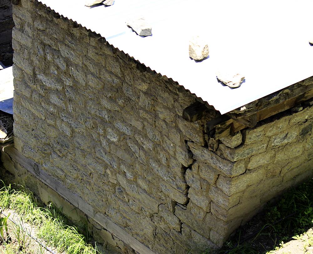 Cow shed developed cracks in Chugaun affected by Karcham Wangtoo Project’s tunnel construction.