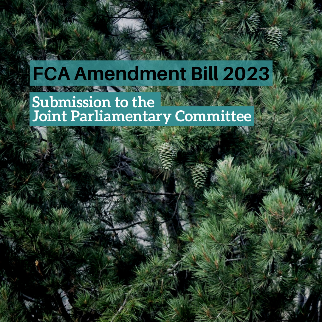 Submission to the Joint Committee of Parliament : FCA Amendment Bill ...